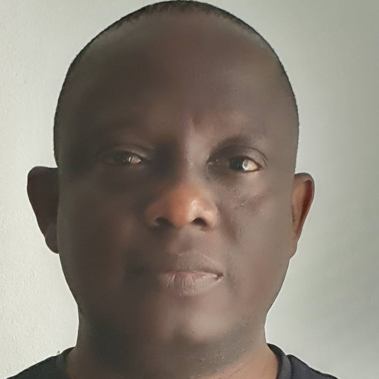 Adeyinka Akinbode