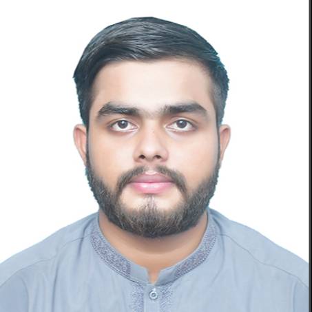 Ameer Hamza