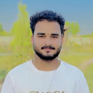 Ali Hamza Rafique