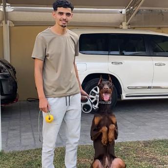 Mohamed Boukbir Dog Trainer